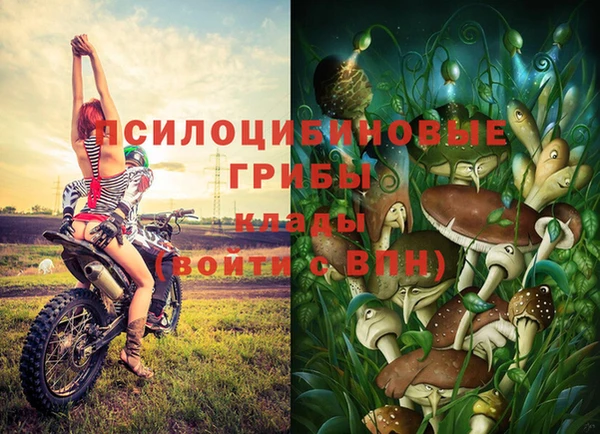 ПСИЛОЦИБИНОВЫЕ ГРИБЫ Абинск