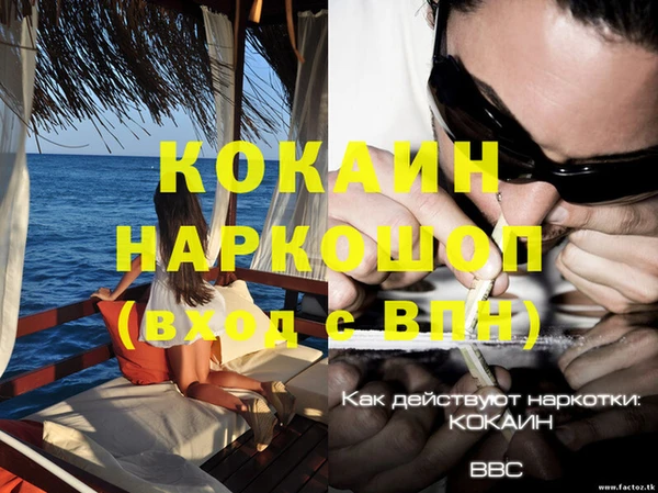 винт Абаза