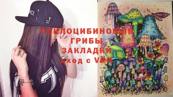 ПСИЛОЦИБИНОВЫЕ ГРИБЫ Абинск