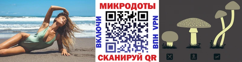 Галлюциногенные грибы MAGIC MUSHROOMS  Красный Сулин 